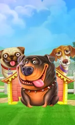 The Dog House